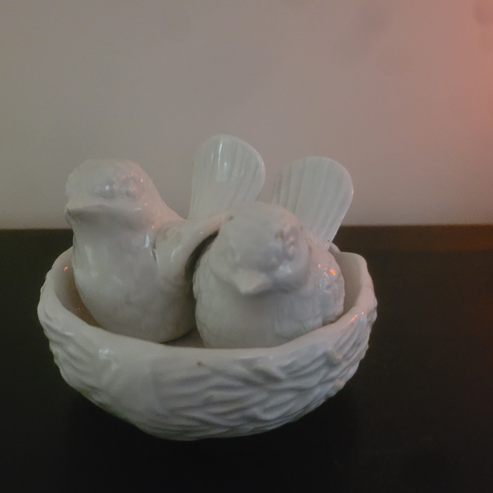 White Ceramic Bird Salt And Pepper Set